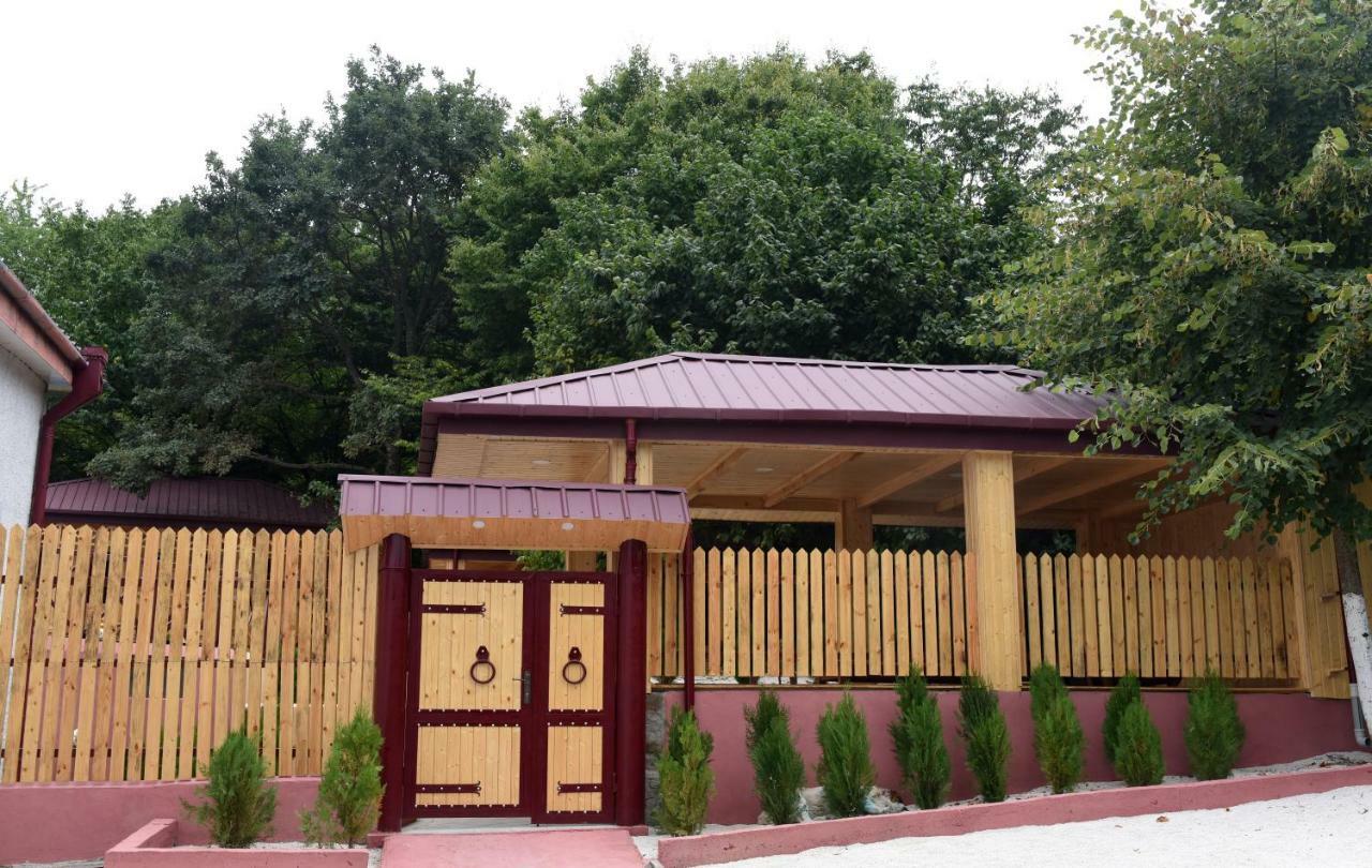 Bed and Breakfast Nikala Telavi Exterior foto